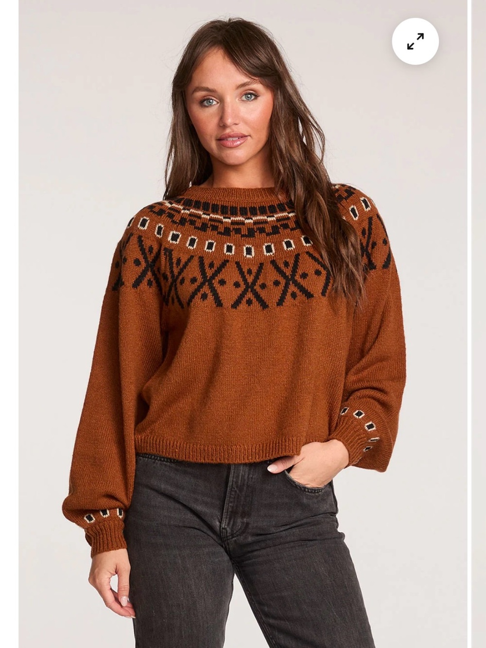 Saltwater Luxe Orson Fair Isle Sweater - NWT
